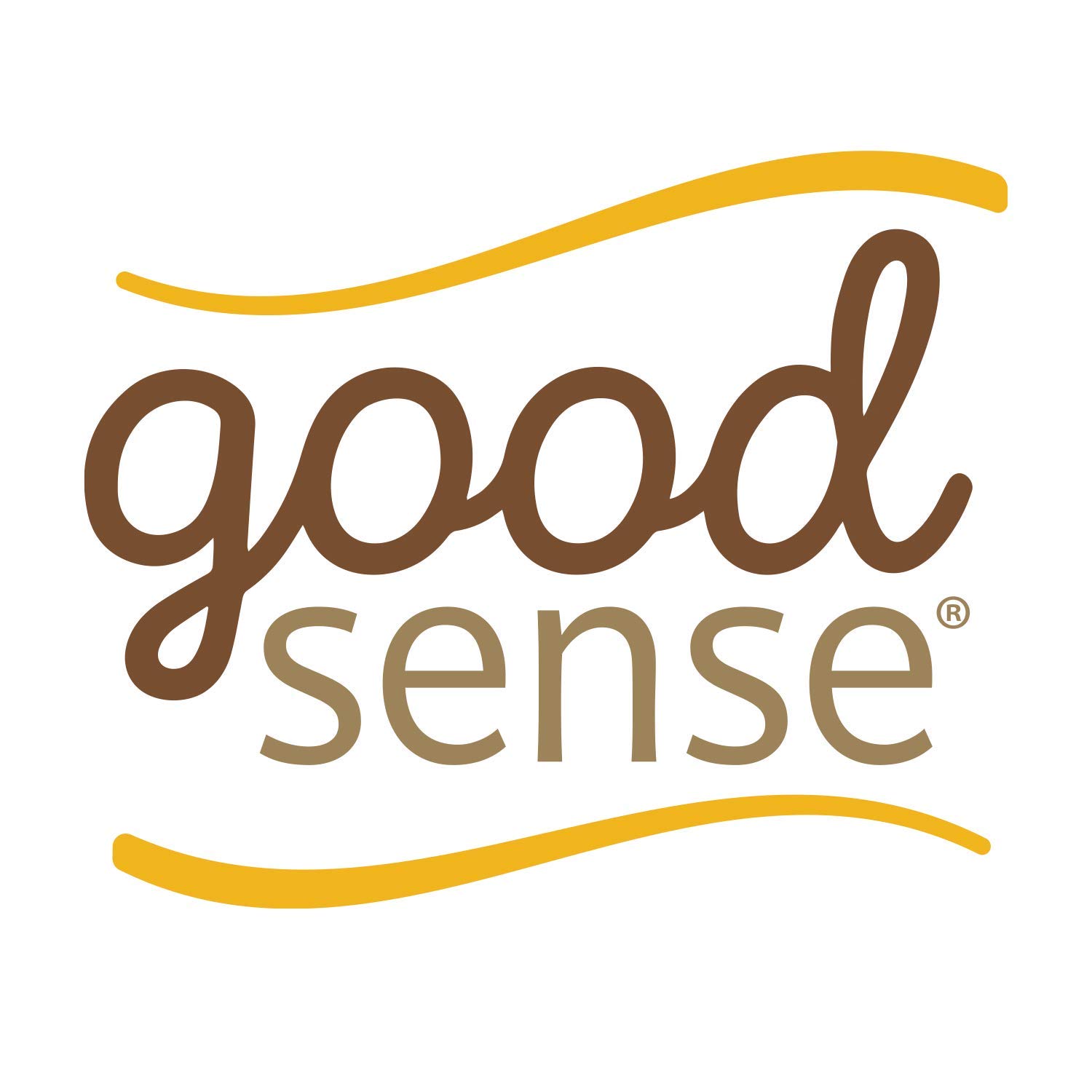 Good Sense Roasted & Salted Shelled Sunflower Seeds (Pack of 6)