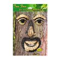 thumbnail image 1 of M. Arbre / Visage d'Arbre, 1 of 1