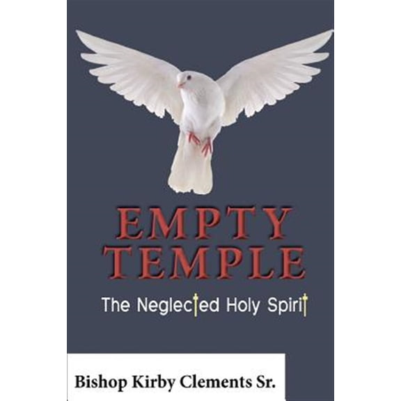 Pre-Owned Empty Temple: The Neglected Holy Spirit