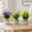 #271-Multicolor*C, variant on Cheapark Artificial Plants Faux Greenery Set 6 Pack for Home Office Tabletop Shelf Realistic Potted Plant Decor Collection Gift