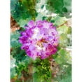 thumbnail image 3 of Young, Chamira 19x24 Black Modern Framed Museum Art Print Titled - Floral in Bloom I, 3 of 5