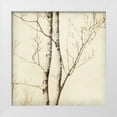 thumbnail image 3 of Amy Melious 12x12 White Modern Wood Framed Wall Art Titled - Winter Trees II, 3 of 5