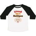 thumbnail image 3 of Inktastic Maltipoo Dog Gift Poodle Maltese Boys or Girls Toddler T-Shirt, 3 of 5