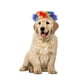 thumbnail image 4 of Pelucas divertidas para cosplay de perros y gatos, juguetes para mascotas, disfraces para fiestas, festivales, pelucas para perros medianos y grandes, ropa para mascotas., 4 of 7