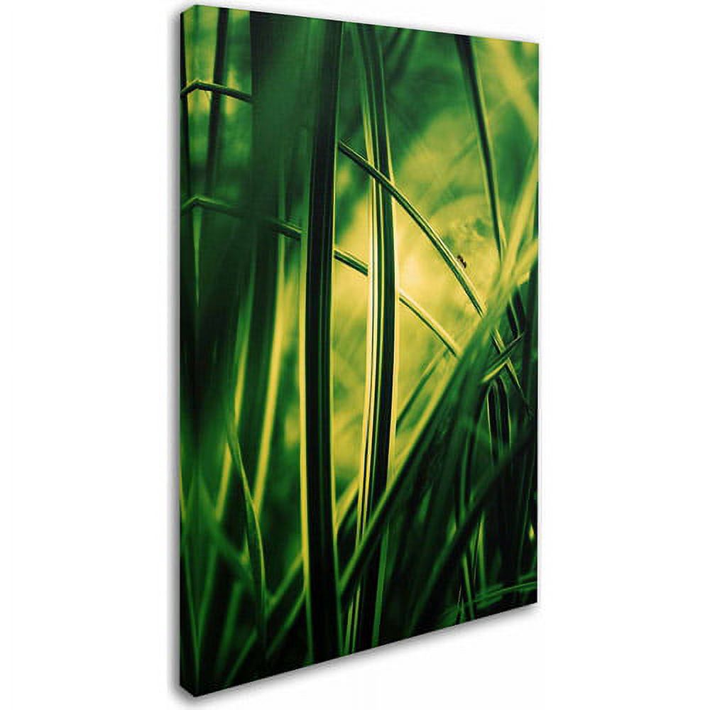 Trademark Fine Art "Miniature" Canvas Art by Philippe Sainte-Laudy