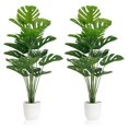 thumbnail image 1 of Plantas artificiales Monstera Deliciosa SAJANDAS con macetas (juego de 2), 1 of 7