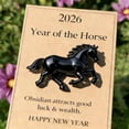 thumbnail image 2 of Little Horse Pocket Hug, Lucky Crystal Horse A Symbol of Strength New Beginnings 2026, A Pocket Hug for Horses, Horses Themed Pocket Hug Acrylic Figurine with Card, New Year Gifts, 2 of 6