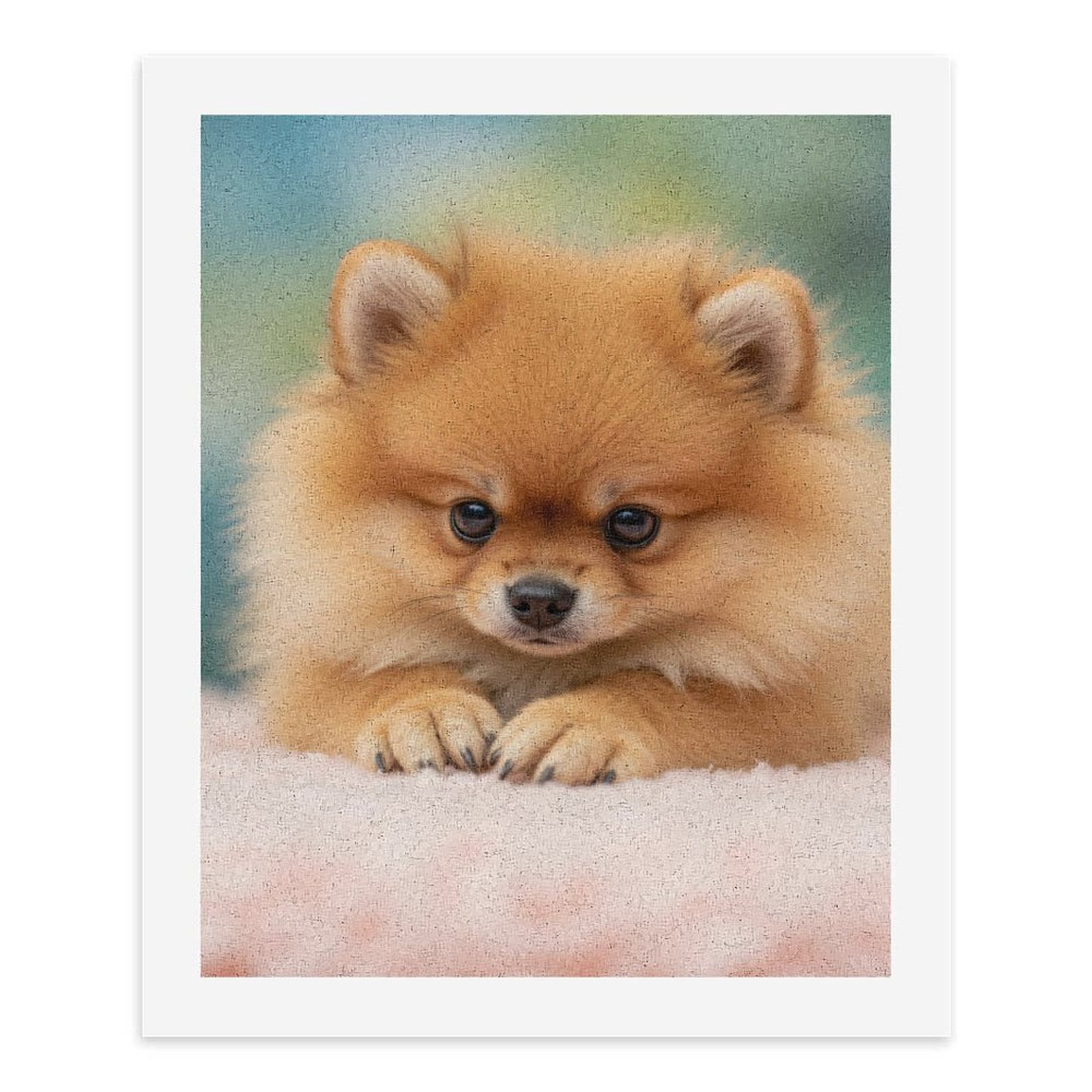Paint by Numbers Kit for Adults, Pomeranian Puppy Adorable Paint by Numbers, Easy Paint by Numbers Kit for Adults Beginner, DIY Adult Paint by Number Kits on Canvas, Home Decor