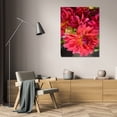 thumbnail image 3 of Maureen Love 17x24 Gallery Wrapped Canvas Wall Art Titled - Fuschia Dalhia II, 3 of 4