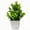 Magnolia Grass, variant on Artificial Potted Plants for Home Decor - Small Fake Greenery for Living Room, Bathroom, Office Desk