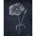 thumbnail image 2 of Brown, Denise 20x24 White Modern Wood Framed Museum Art Print Titled - Mighty Growth 3, 2 of 4