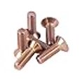 thumbnail image 3 of NRG Innovations SWS-100RG Steering Wheel Screw Kit (Upgrade Rose Gold "CONICAL"), 3 of 3