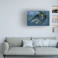 thumbnail image 2 of Edward Robert Hughes 'Night Train of Stars' Canvas Art, 2 of 4