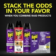 (2 pack) Raid Flea Killer Plus Fogger, 4 Month Flea Bomb Room Treatment for Home, 15 oz, 3 Ct