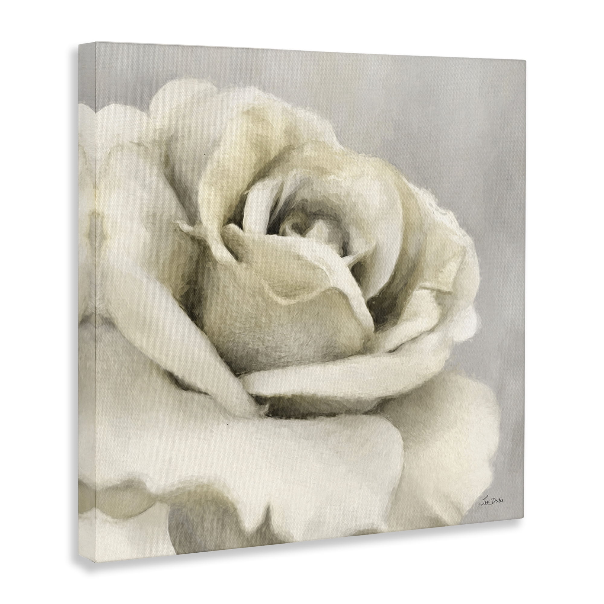 Stupell Industries Curling Rose Petals Botanical & Floral Painting Gallery Wrapped Canvas Art Print Wall Art, 36 x 36