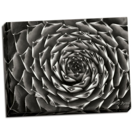 Gango Home Decor Floral Labyrinth II by Vitaly Geyman (Ready to Hang); One 24x18in Hand-Stretched Canvas