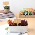 thumbnail image 3 of SHISUYAN Wooden Plant Labels with Marker Pen for Gardening T-shaped Assorted Color 25 Pcs, 3 of 8