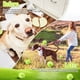 thumbnail image 5 of Pelotas de tenis para perros Hanaive, 20 piezas, para perros pequeños de 5 cm, amarillas, 5 of 5