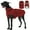 Red, variant on Kuoser Dog Winter Coat Warm Reflective Pet Jacket Waterproof Cold Weather Clothes for Dogs, Khaki, XS