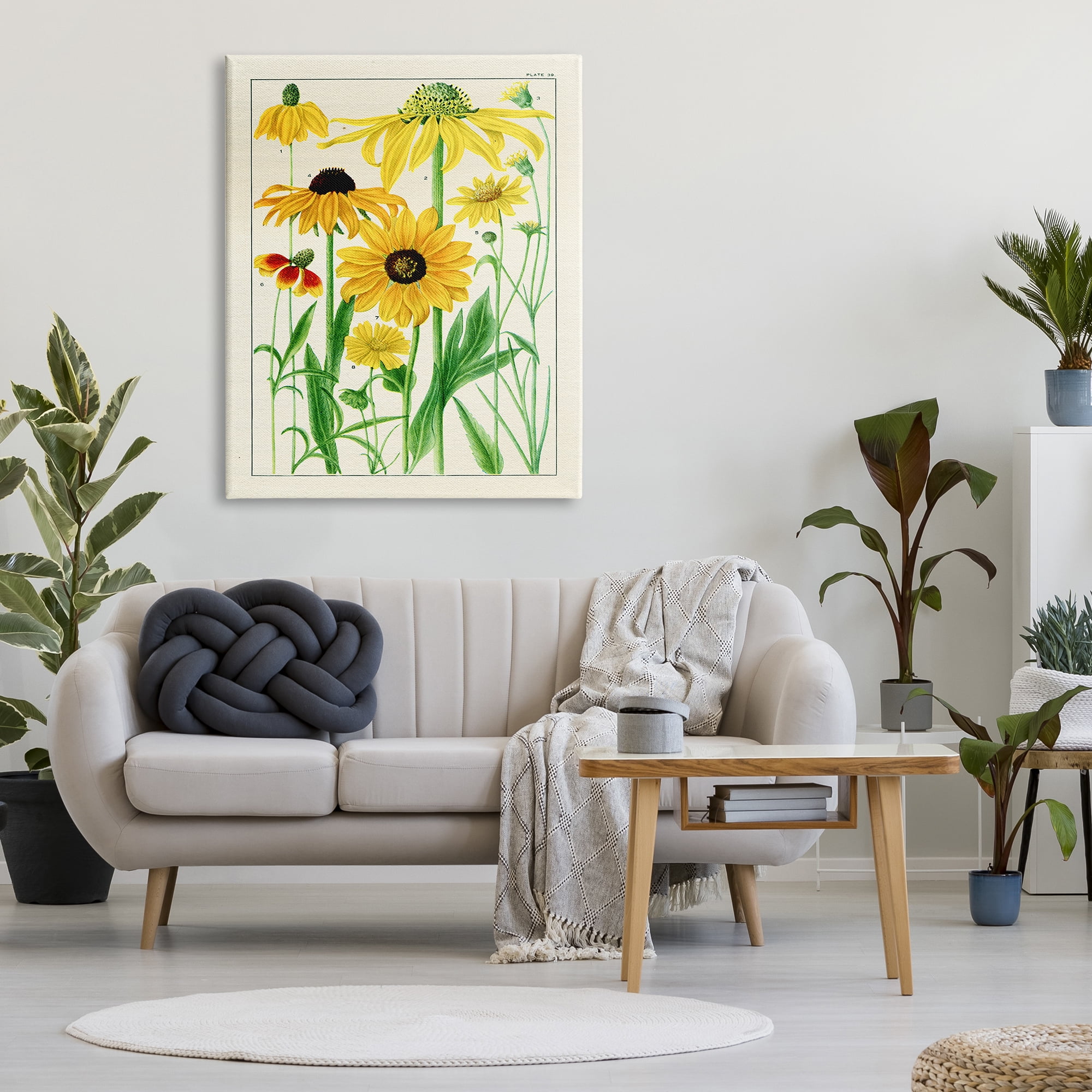 Stupell Industries Vintage Yellow Daisies Botanical & Floral Painting Gallery Wrapped Canvas Print Wall Art, 36 x 48