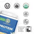 thumbnail image 4 of Sunwarrior Warrior Blend Vanilla Vegan Protein Powder 15 Servings, 4 of 7