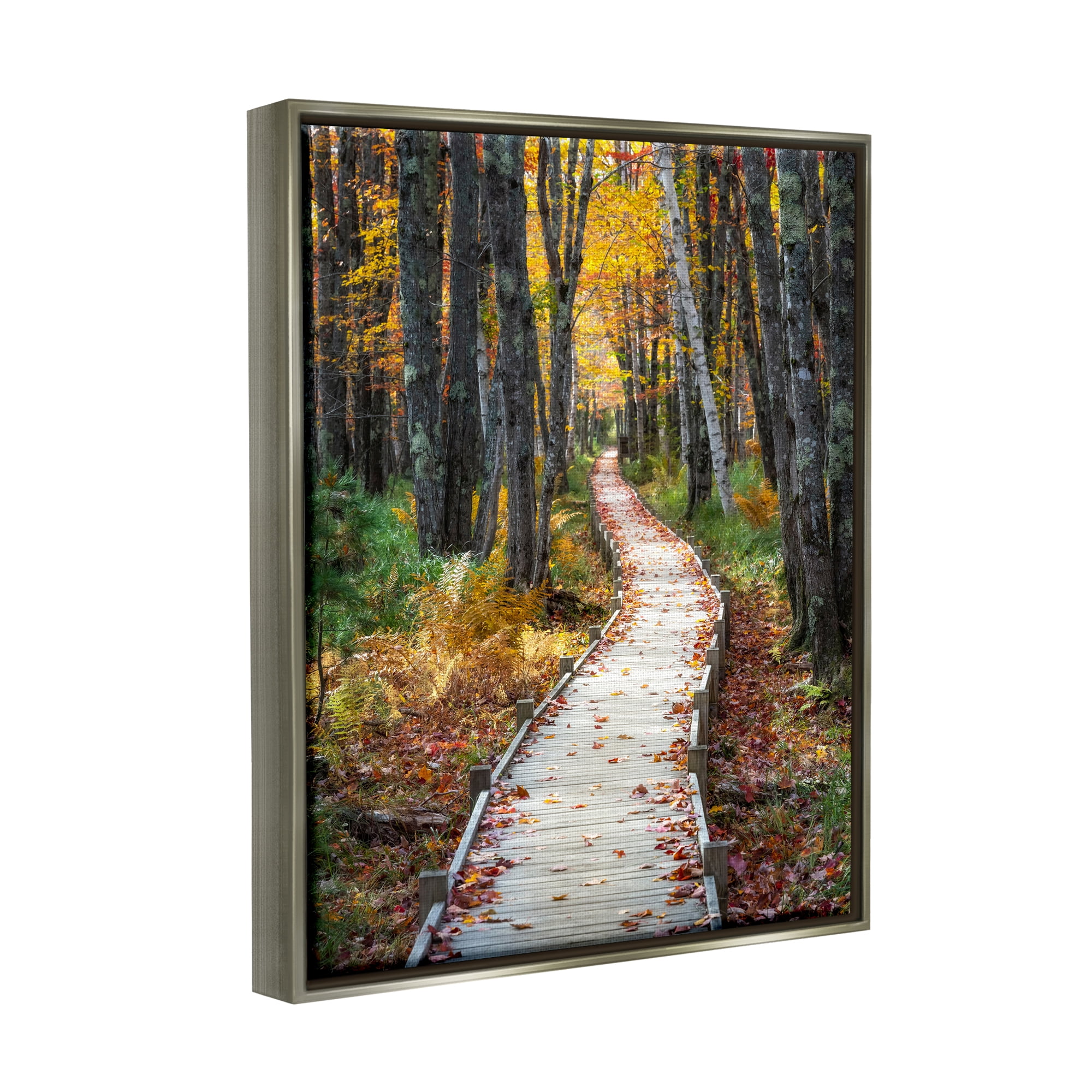 Stupell Industries Nature Path Autumn Foliage Landscape Photography Gray Floater Framed Art Print Wall Art