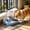 Blue, variant on Automatic Pet Feeder, 2 In 1 Pet Bowl With Food And Water Dispenser, Twin Pet Bowl For Cats And Small Dogs, Green/Yellow/Blue, 8.46" x 7.68" x 6.69"