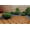 Brown, variant on Acacia Wood Assembled Flooring , 10pack, 12 in. x 12 in.