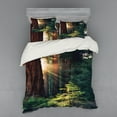 thumbnail image 2 of Ambesonne Nature Bedding Set 3 Pcs, Nevada Morning Sun, Twin XL, Green Brown, 2 of 3