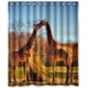 thumbnail image 1 of ABPHQTO Cortina de ducha con jirafas lindas y dulces Cortina de ducha impermeable 150x180 cm, 1 of 2