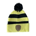 thumbnail image 1 of Harry Potter Hufflepuff Crest Pom Beanie, 1 of 1