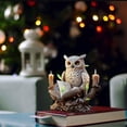 thumbnail image 5 of 2D Hand Painted 6" H Owl Reading Figurine Statue Sculpture Ornament Decoration Home/Room Decor and Gift Ideas for Housewarming, Holidays and Birthdays Great Collectible Addition, 5 of 6