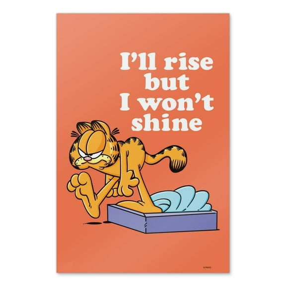 Garfield I'll Rise but I won't Shine Wall Art Picture Paper Poster Décor Home Decoration