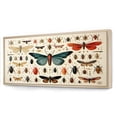 thumbnail image 2 of Designart "Insects and Bugs in Orange and Blue" Oversized Animals Framed Wall Art - Modern Blue Insects & Bugs Bedroom Framed Canvas Wall Art, 2 of 6