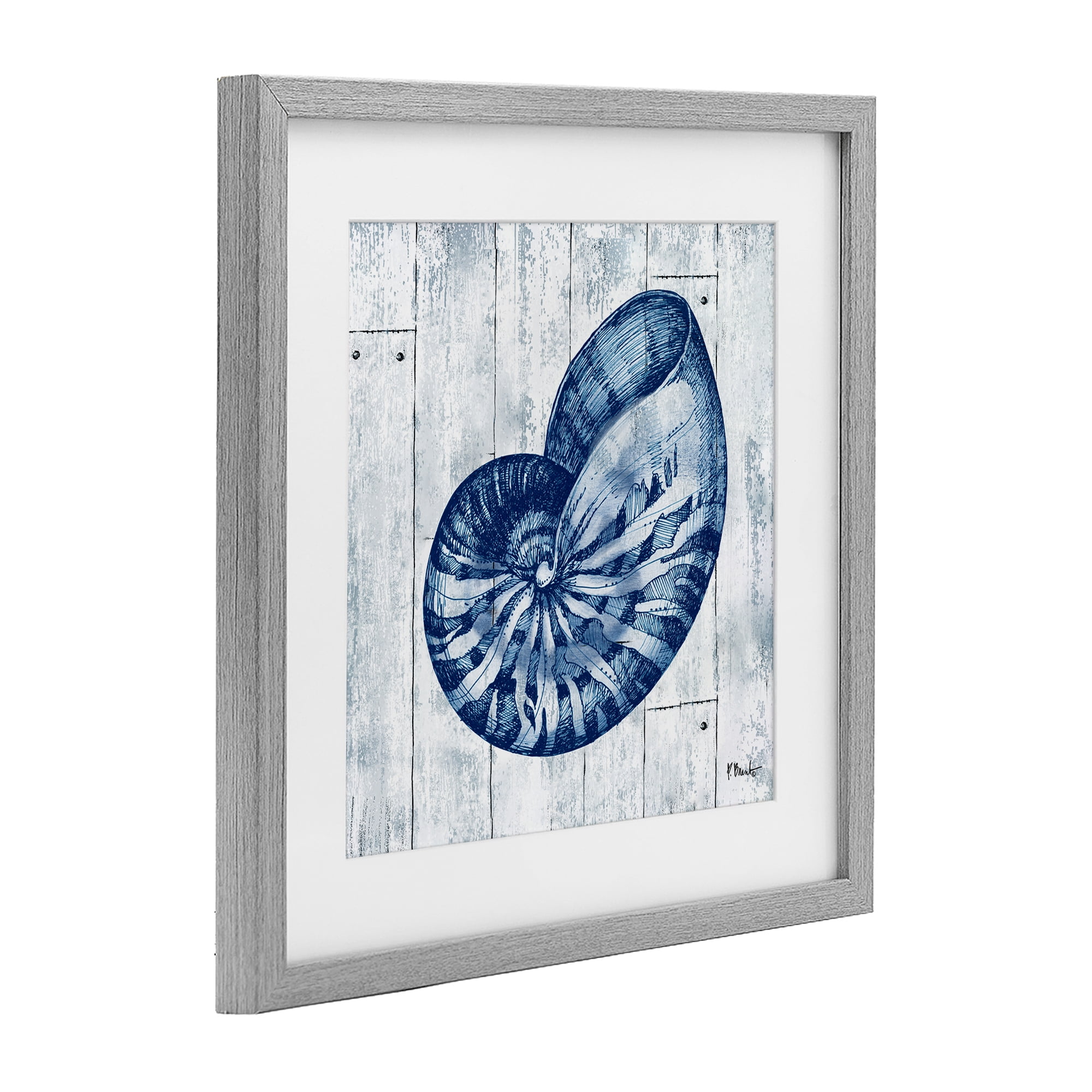 Stupell Industries Coastal Timberland Nautilus Gray Framed Print Under Glass, design by Paul Brent