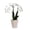 White, variant on Just Add Ice Live Plant 6-10" Tall Mini Pink Purple Orchid in 2.5" Decorative Fiber Clay Pot