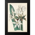 thumbnail image 2 of Curtis 13x18 Black Modern Framed Museum Art Print Titled - Ivory Garden VI, 2 of 5