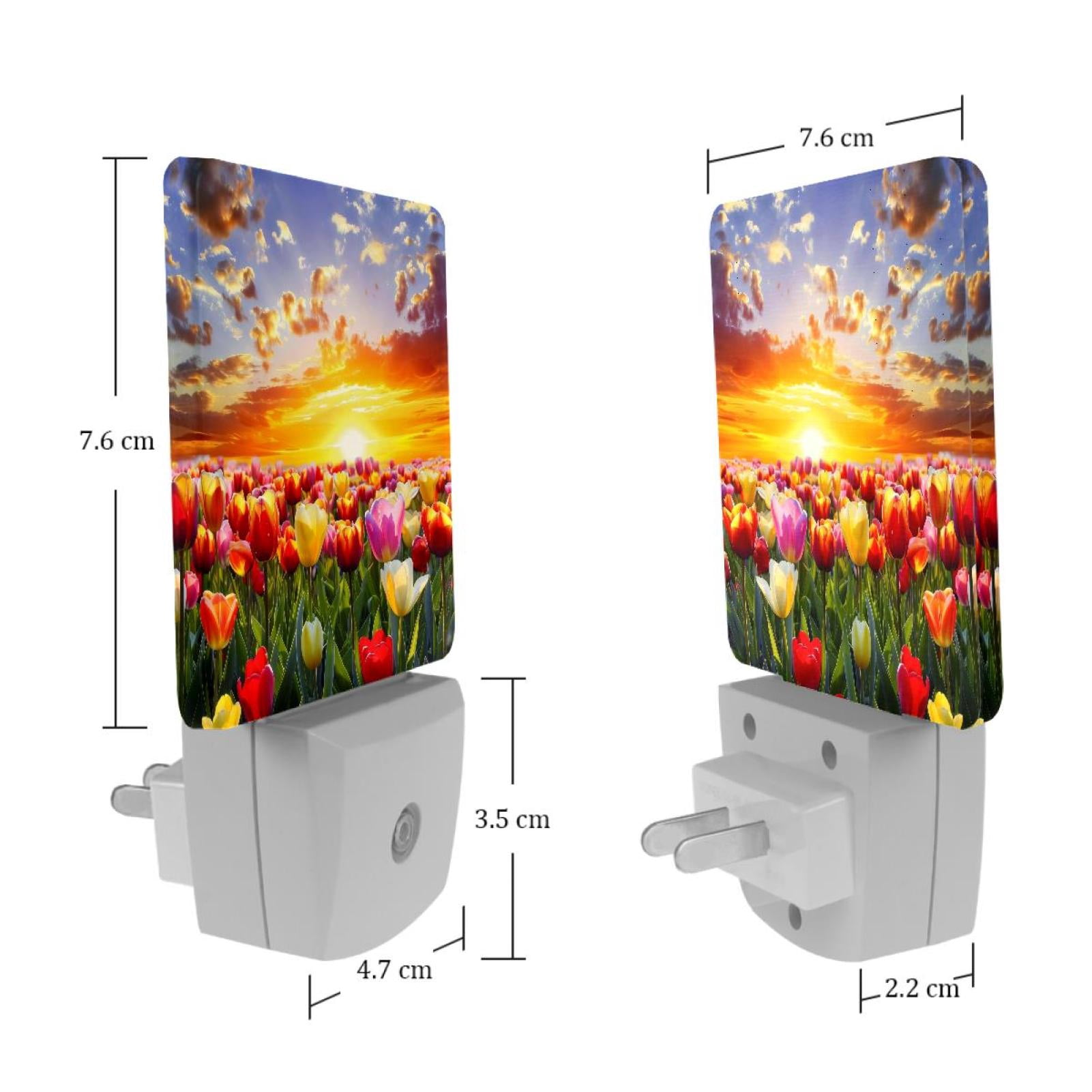 PhooArto Beautiful Tulip Flower Sunset Landscape Plug in LED Night Light Auto Sensor Dusk to Dawn Decorative Night for Bedroom, Bathroom, Kitchen, Hallway, Stairs, Baby's Room, Energy Saving