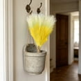 thumbnail image 4 of Hierba de la Pampa artificial,flores secas artificiales,cañas naturales estilo boho para decoración del hogar,arreglo floral neutro para jarrones,centros de mesa,adornos decorativos para bodas y, 4 of 6