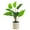 type:style2, variant on Fake Plants Artificial Potted Plants Faux Plants Begonia Plants in Ceramic Pots Real Touch Leaves for Office Table Desk Bathroom Bedroom Greenery Decoration Room Home Indoor Decor - type:style1