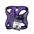 thumbnail image 1 of SET ARNES Y CORREA SPORTIE INT VIOLETA, 1 of 2