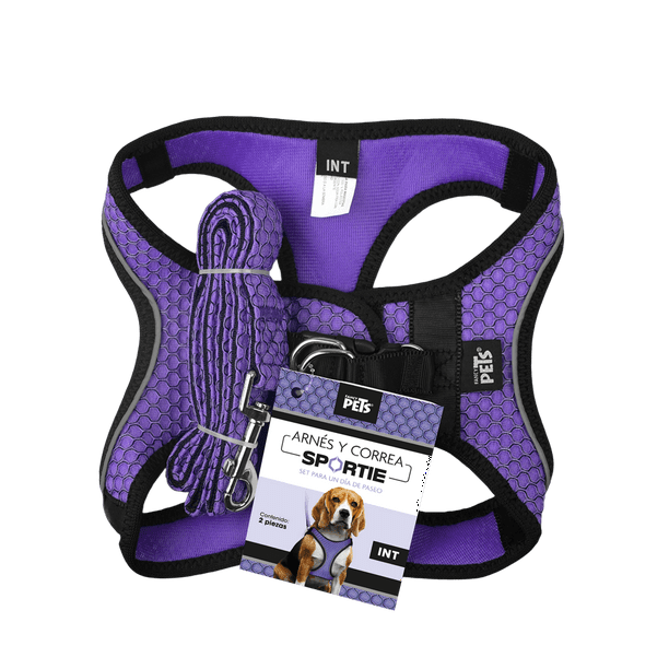 SET ARNES Y CORREA SPORTIE INT VIOLETA