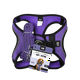 thumbnail image 1 of SET ARNES Y CORREA SPORTIE INT VIOLETA, 1 of 2