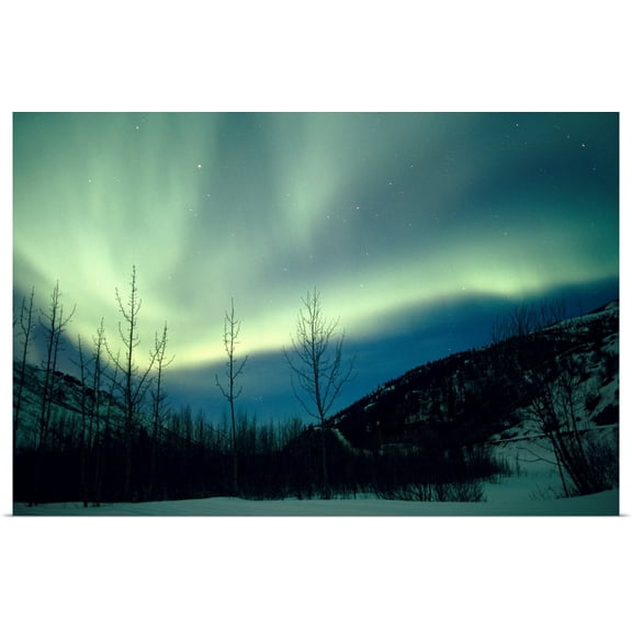 Great BIG Canvas | Rolled Poster Print entitled Northern Lights Winter Alaska
