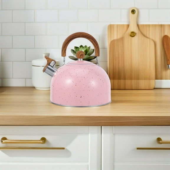 PTOOTP Stainless Steel Whistling Kettle for Gas Hob with Ergonomic Foldable Handle