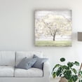 thumbnail image 3 of Trademark Fine Art 'Barn Tree II' Canvas Art by June Erica Vess, 3 of 4