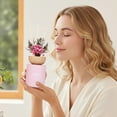 thumbnail image 2 of Reed Diffuser Set with Really Dried Flowers, Essential Oils Scented Sticks, Air Fresheners Home Fragrance for Bathroom Shelf Decor & Gift, 5.1oz / 150ml, 2 of 3