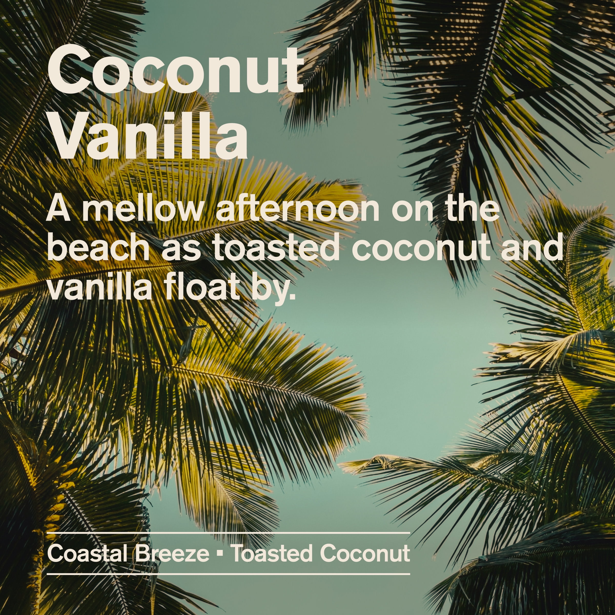 Every Man Jack Coconut Vanilla Hydrating Body Wash for Men, Naturally Derived, Tropical Coconut & Toasted Vanilla Bean Scent 16.9 fl. oz, 1 Count