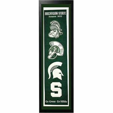 Michigan State Banner - NCAA 14