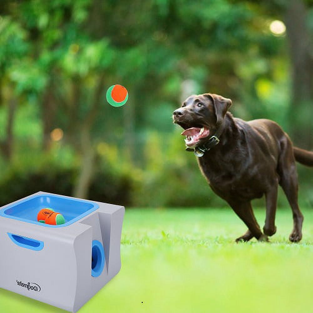 iDogmate Automatic Large Pet Dog Tennis Ball Launcher - Pet Toy - Ball throwing  Machine - Dog Toy for large and mid sized Dogs.